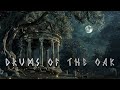 Full moon harmony drums of the ancient oak  relaxing shaman drums  432hz