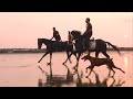 BEACH HORSE RIDING - Even DOGS LOVES to RUN with HORSES