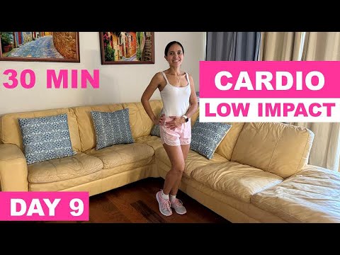30 Min Cardio Workout | No Equipment | No Jumping | Low Impact | Day 9 ...