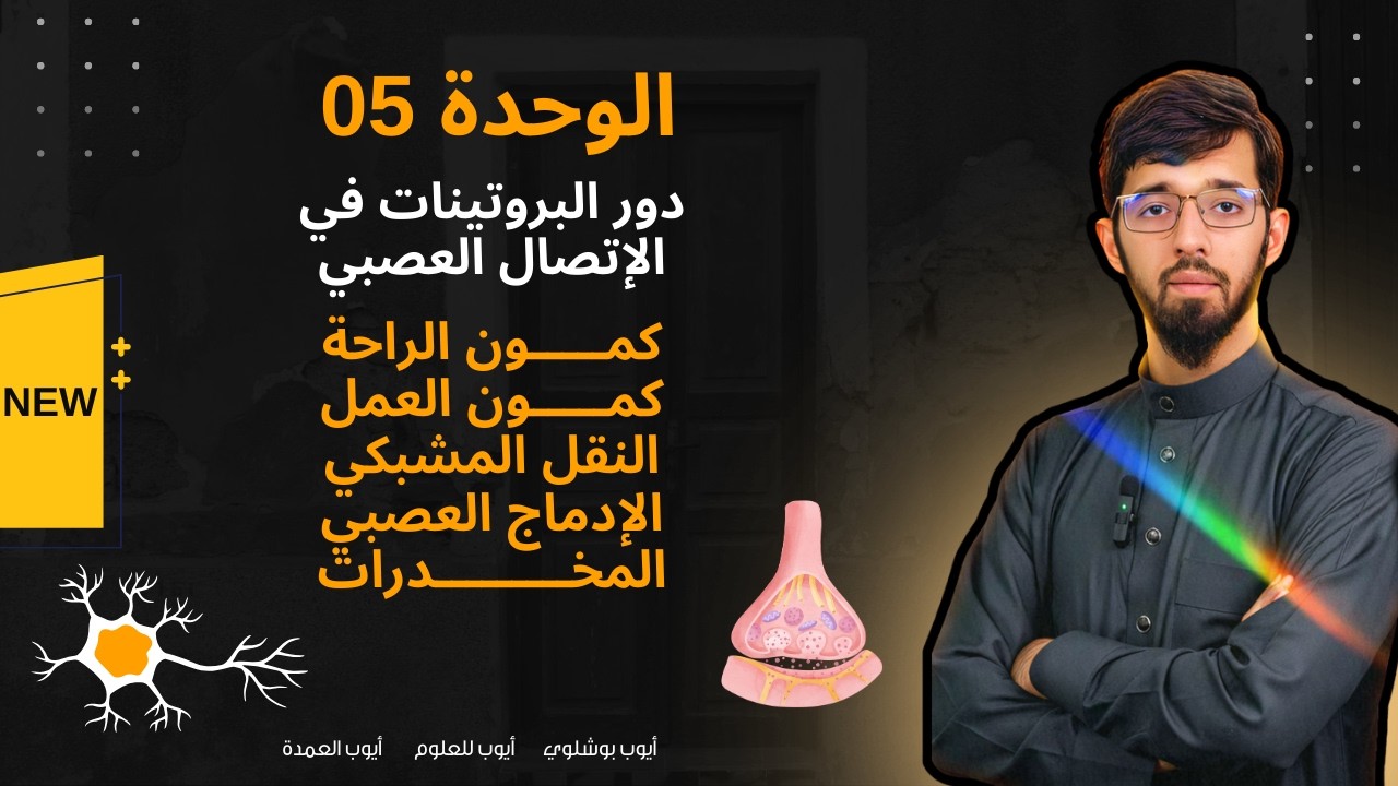 الوحدة 05 -من الألف إلى الياء- دور البروتينات في الإتصال العصبي 2026