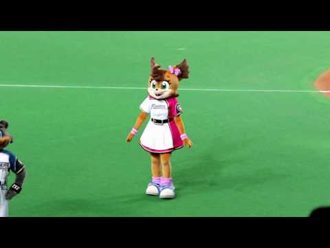 20170401 ポリー＆BBのスタメンさんいってらっしゃい＠札幌