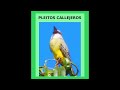 PLEITOS CALLEJEROS | AVES | FANTASÍA | AUDIOLIBRO