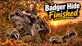 Badger Hide Part 3 - HIDE FINISHED