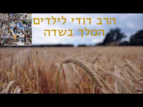 המלך בשדה הרב דודי לילדים 