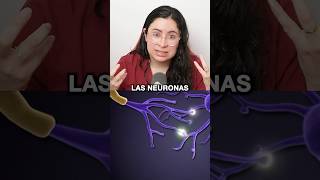SINAPSIS QUÍMICA #ubaxxi #uba #cbc #ciencia #universidad
