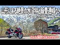 【東北バイク旅】こんな場所があったとは…。山形にある幻想的な白川湖の水没林から秘境の小国町へ！残雪の美しい飯豊連峰の大自然とグルメを満喫するツーリング。【HONDA Gold Wing/モトブログ】