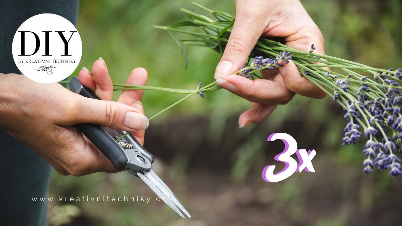 3 tipy na drobné dekorace z levandule: Jednoduché a přírodní DIY