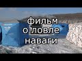 Ловля наваги на реке Майхе (Приморский край)