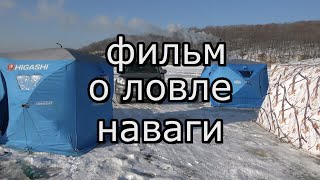картинка: Ловля наваги на реке Майхе (Приморский край)
