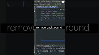 Just 7 lines of code to remove image background