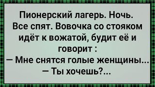 Как Вовочка По Ночам к Вожатой Ходил! Сборник Свежих Анекдотов! Юмор!