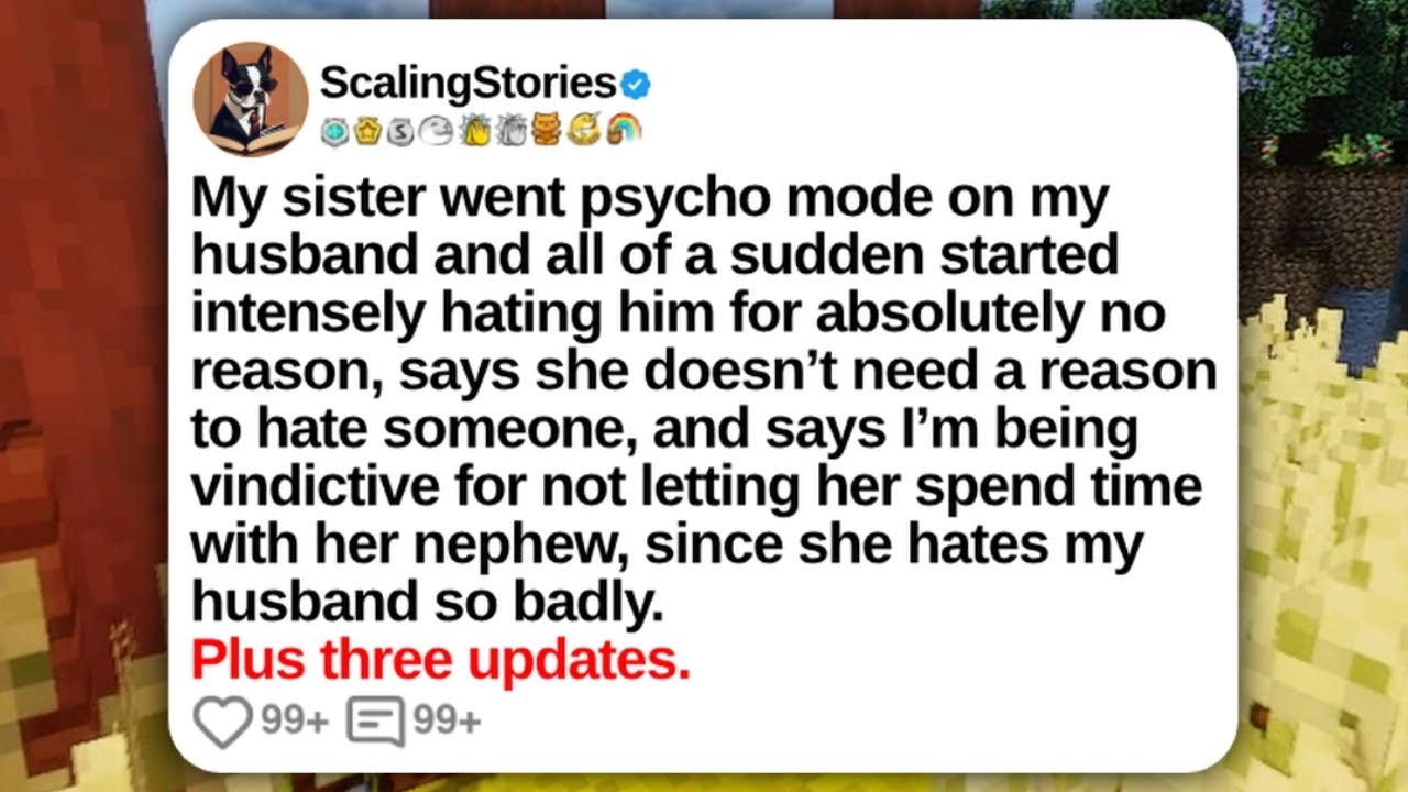 My Sister Went Psycho Mode on My Husband and All of a Sudden Started Intensely | Reddit Updates