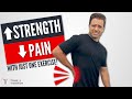 How To Increase STRENGTH &amp; Decrease PAIN In Your Lower Back