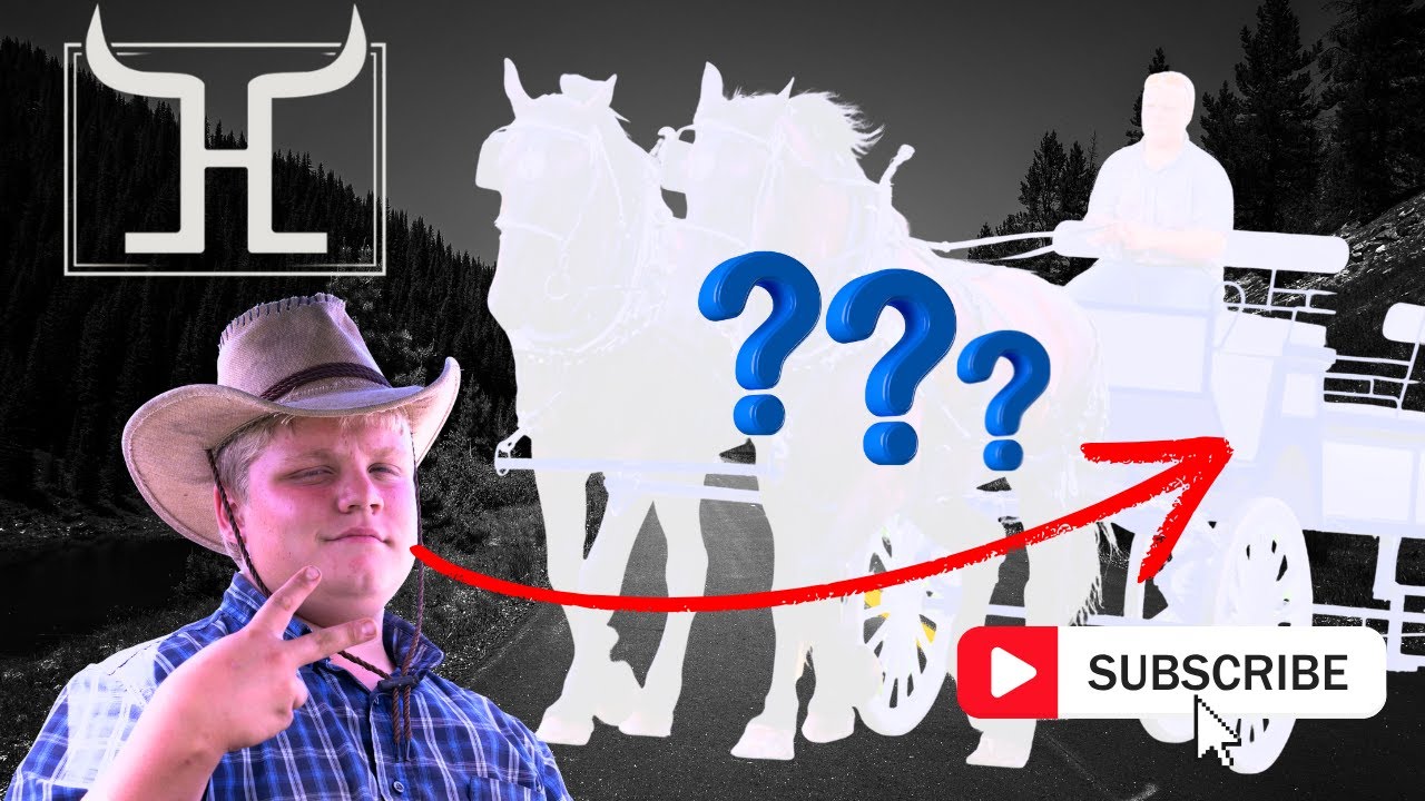 Unleash the Power of Percherons: Draft Horse Team Budget Option Revealed!