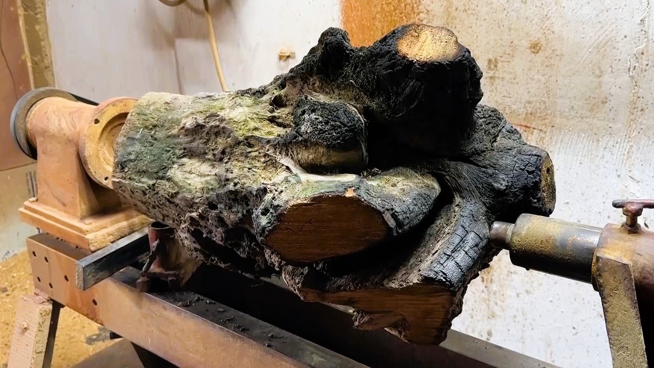 Unbelievable From Abandoned Tree Stump to Shocking Artistic Masterpiece