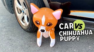 ASMR Crushing Crunchy and Soft Things with Car // Car Crushing Chihuahua Puppy Inflatable Pop!!!