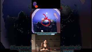 Güneşin Hiç Batmadığı Yer Kutup Gündüzü Ile Tanışın -