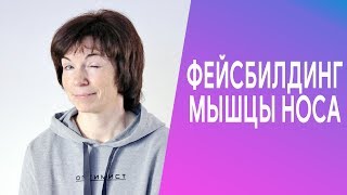 Фейсбилдинг мышцы носа. Фейсбилдинг мышцы носа.