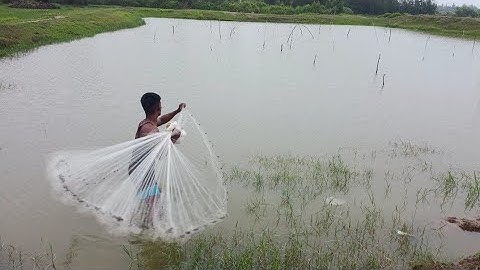 Unbelievable Cast Net Fishing - Fishermen vs River Catch Netting Fishing