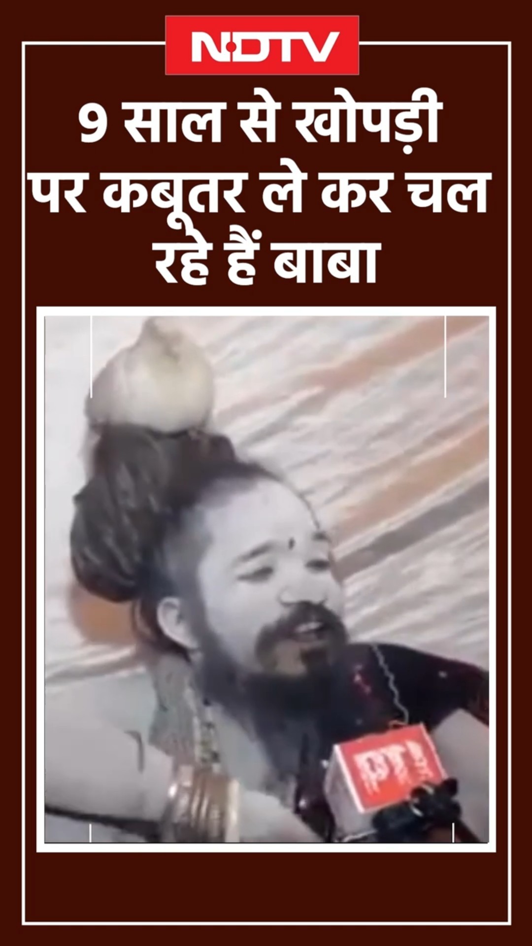 Maha Kumbh 2025: 'कबूतर वाले बाबा' के नाम से क्यों मशहूर हैं जूना अखाड़े के ये बाबा | UP News | NDTV