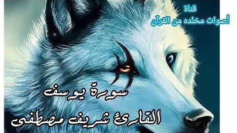 سورة يوسف بصوت القاريء شريف مصطفى