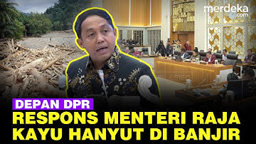 Kejutan! Respons Menteri Raja Soal Ribuan Kayu Ikut Hayut Saat Banjir Bandang Sumatera