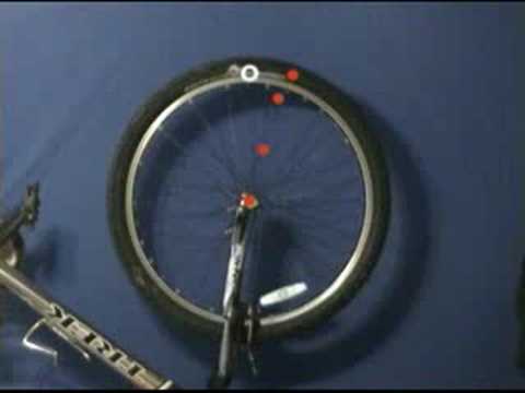 Wheel with Graph