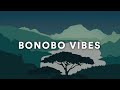 Bonobo vibes  chill mix  study  relax