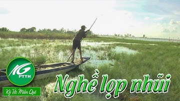 Ký ức miền quê l Nghề lọp nhũi l THKG