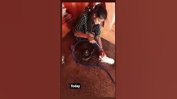 शिव मन्दिर साफ करने से क्या फल मिलता है जानिए? #viral#trending#youtubeshorts#shortvideo#shorts#short