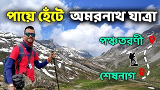 Sheshnag to Panchtarni | Amarnath Yatra Trek | Poshpatri Bhandara