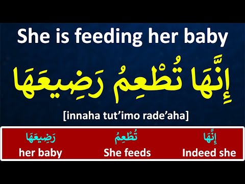 Learn Arabic While