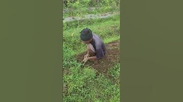 a simple smart sickle tool that can also be used for weeding plants #shotrs