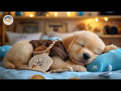 12 Hours Deep Sleep Music for Dogs 🐶 Dog Calming Music 🌌 Stress Relief during Healing Dog Sleep