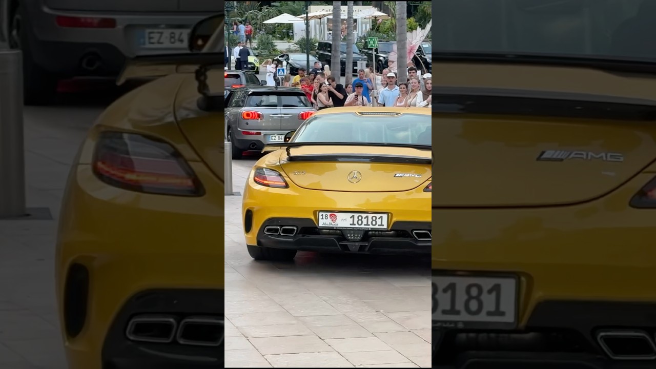 Insane Mercedes SLS AMG Black Series in Monaco 