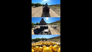 The Brute Force 450 4x4 EPS
