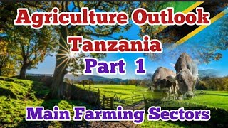 Top Agricultural Areas in Tanzania, major Crops of Tanzania.