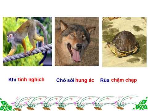 Luyện từ và câu: Từ ngữ về loài thú. Dấu chấm phẩy - Lớp 2 Tuần 24