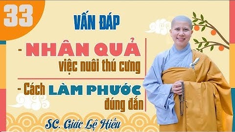 Nhân Quả Việc Nuôi Thú Cưng - Vấn Đáp 33 || Sc Giác Lệ Hiếu