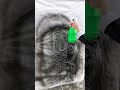 工笔国画 , 的精彩视频..
