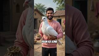 यासीन के पास एक कबूतर था यासीन का पूरा सुना लेकर भाग गया#ai #kisan #viral #YASIN2.2M