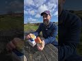 Portugal Sardine Haul! #sardines #tinnedfish