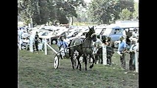 Penybont Trotting Races 1990