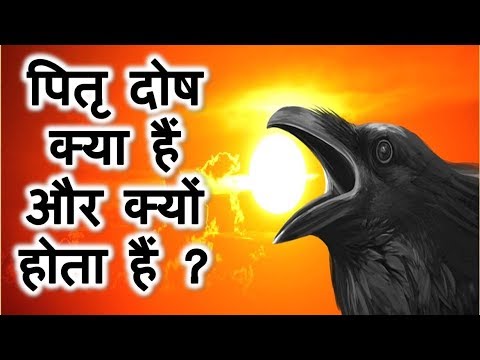 वीडियो: किसे दोष देना है और क्या करना है?