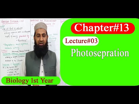 Biology Ch13-Lecture03 Photorespiration