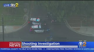 Man Found Shot To Death In Whittier Street