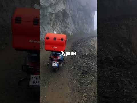 Как бы вы поступили на месте дальнобойщика? 🚛🤔💭