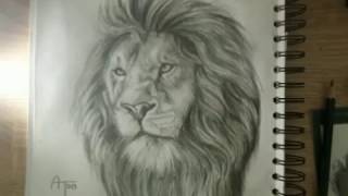 كيفية رسم الاسد?how to draw a lion part -1