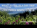 Guide to Columbia River Gorge - Day Trip Recommendations, Multnomah, Latourell Falls & more