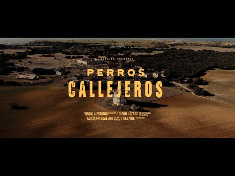 Delaire - Perros Callejeros (Vídeo Oficial)